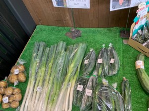 本日のおすすめ