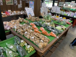 本日のおすすめ