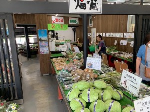 本日のおすすめ