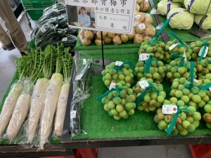 6月12日　本日のおすすめ