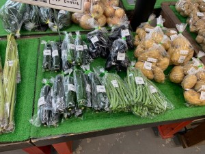 6月12日　本日のおすすめ