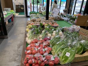 6月12日　本日のおすすめ