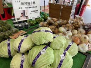 6月13日　本日の野菜