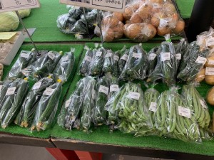 6月13日　本日の野菜