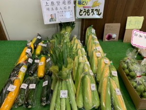 6月13日　本日の野菜