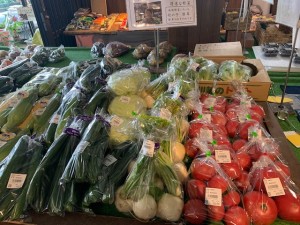 6月18日　本日のおすすめ