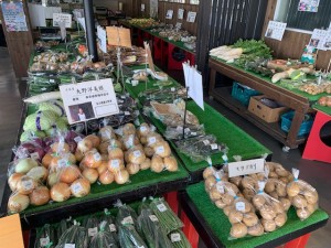 6月18日　本日のおすすめ