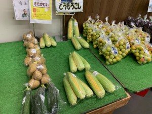 6月19日　本日のおすすめ