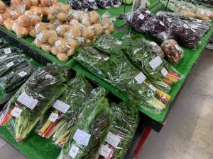 6月19日　本日のおすすめ