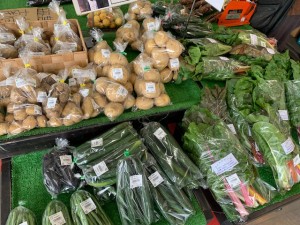 6月20日　本日のおすすめ