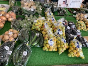 6月20日　本日のおすすめ