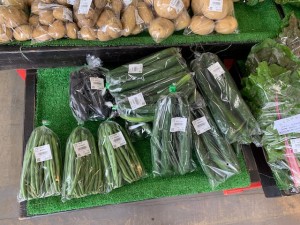 6月20日　本日のおすすめ