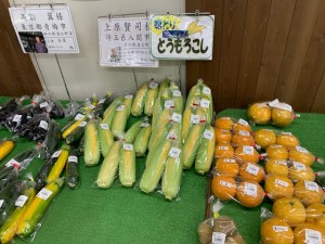 6月26日　本日のおすすめ
