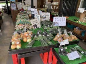 6月26日　本日のおすすめ