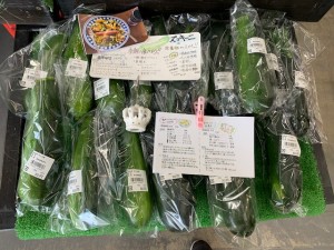 6月28日　本日のおすすめ