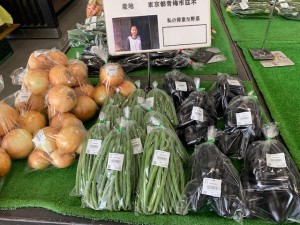 6月28日　本日のおすすめ