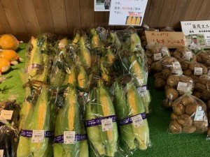 6月29日　本日のおすすめ