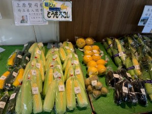 6月29日　本日のおすすめ