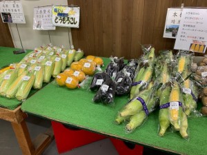 7月1日　本日のおすすめ