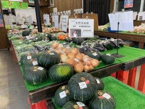 7月9日　本日のおすすめ