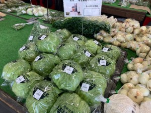 本日のおすすめ