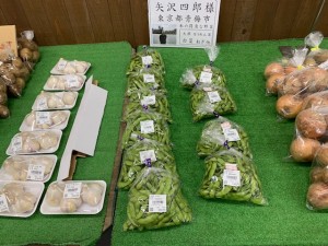 7月9日　本日のおすすめ