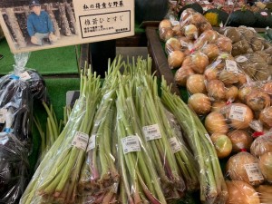 7月10日　本日のおすすめ