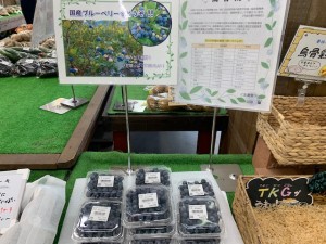 7月10日　本日のおすすめ