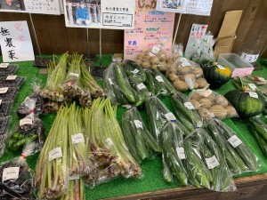 7月15日　本日のおすすめ