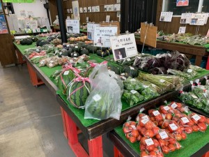 7月15日　本日のおすすめ