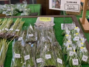 本日のおすすめ