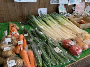 7月16日　本日のおすすめ