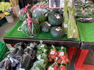 7月16日　本日のおすすめ