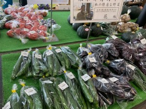 7月16日　本日のおすすめ