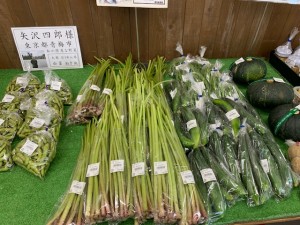 7月18日　本日のおすすめ