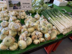 本日のおすすめ