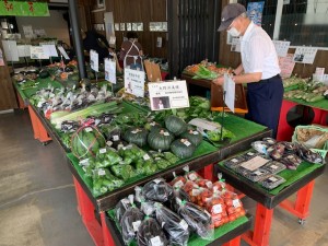 7月30日　本日の野菜