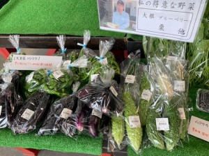 8月21日　本日の野菜