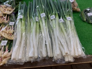 8月21日　本日の野菜