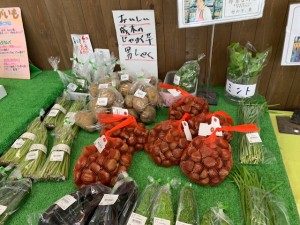 8月21日　本日の野菜