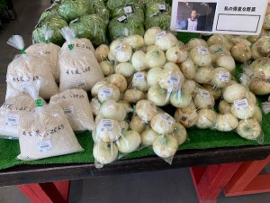 本日のおすすめ