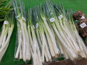 9月5日　本日の野菜