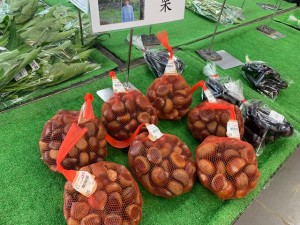 9月5日　本日の野菜