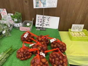 9月5日　本日の野菜