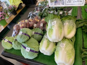 10月3日　本日の野菜