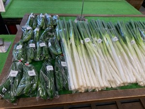 10月3日　本日の野菜