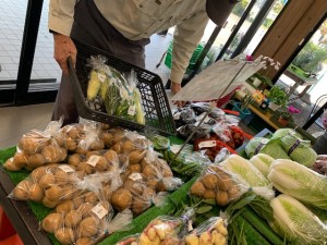 10月3日　本日の野菜