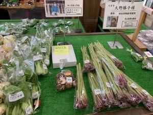 5月8日　本日のおすすめ