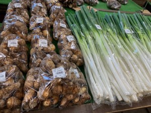 10月24日　本日の野菜