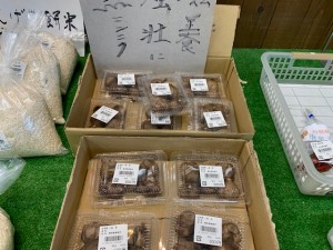 10月24日　本日の野菜